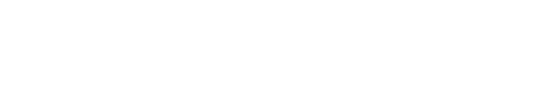 QualityAudits.ai